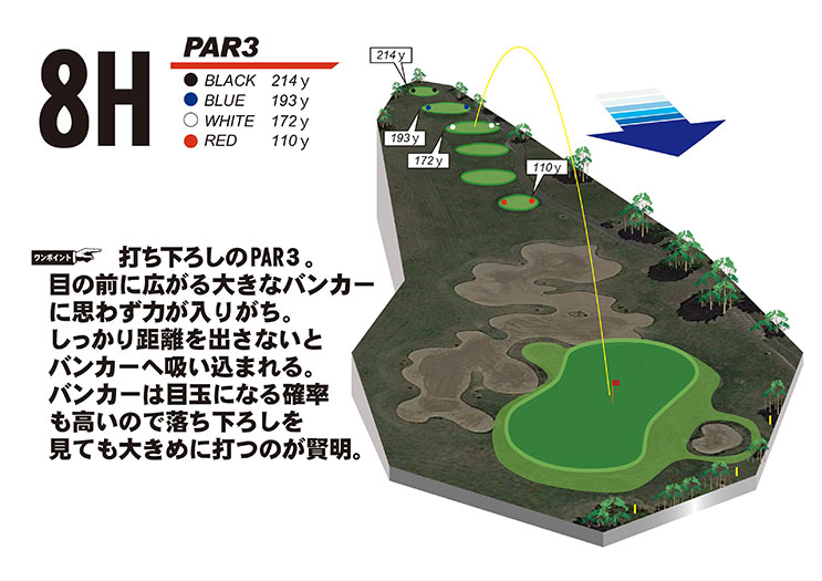 hole図